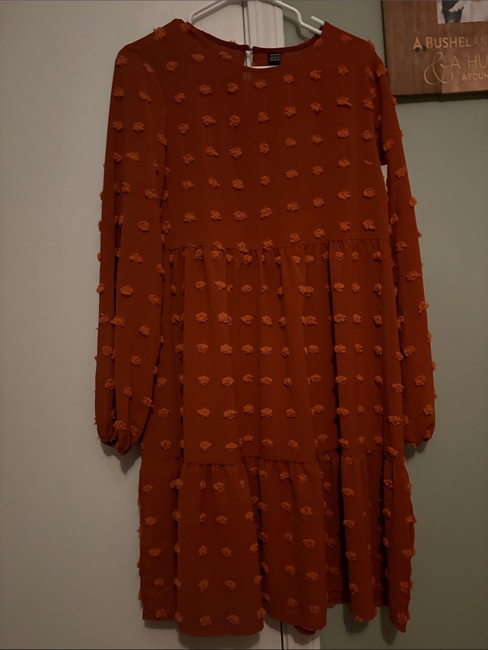 SHEIN Rust Orange Textured Long-Sleeve Tiered Dress